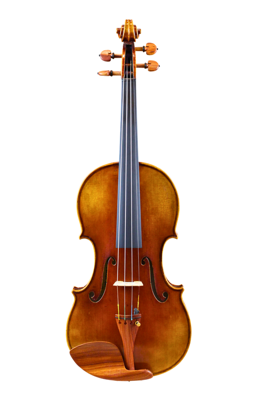 LS1000 Violin