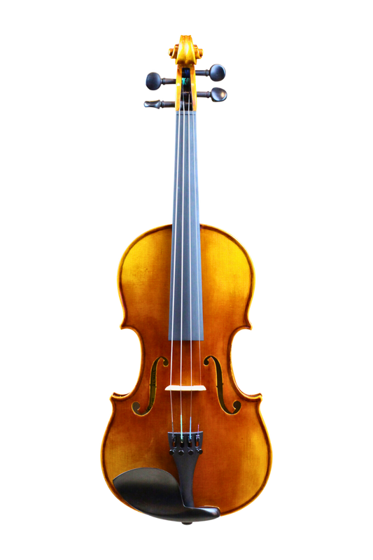 PS300ES Violin