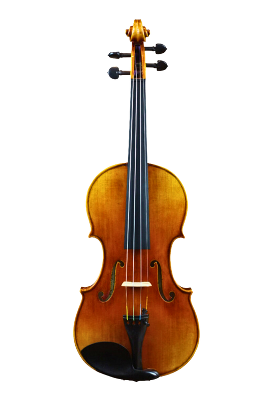 PS500 Violin